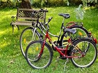 BayCycles Foto