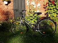 BayCycles Foto